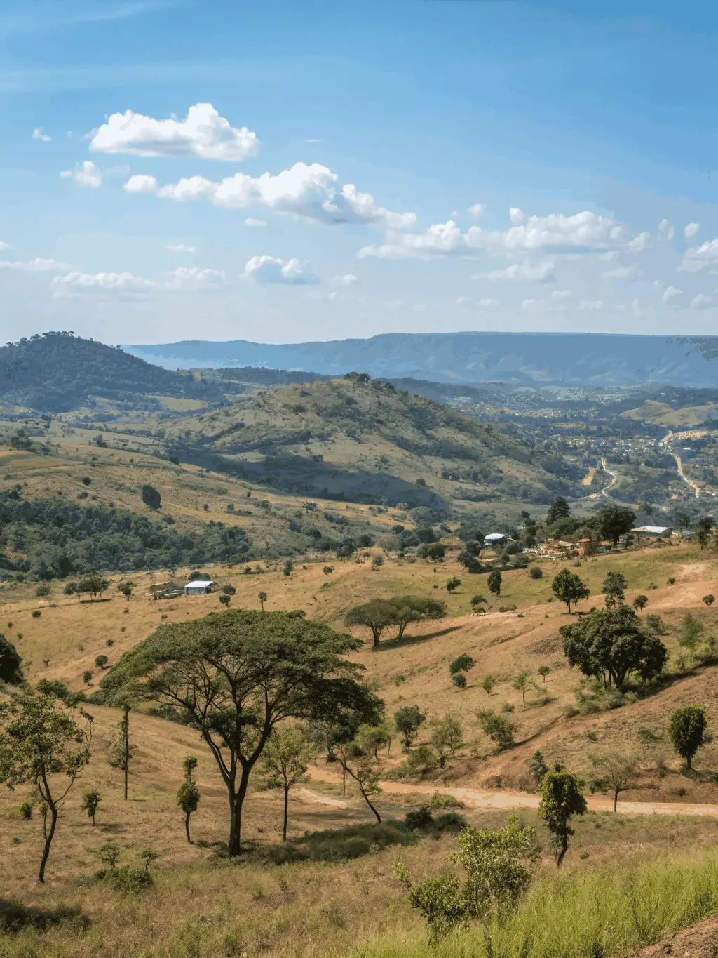 An aerial view of a DealPantry-vetted property, showcasing its clear boundaries and peaceful surroundings, free from land disputes.